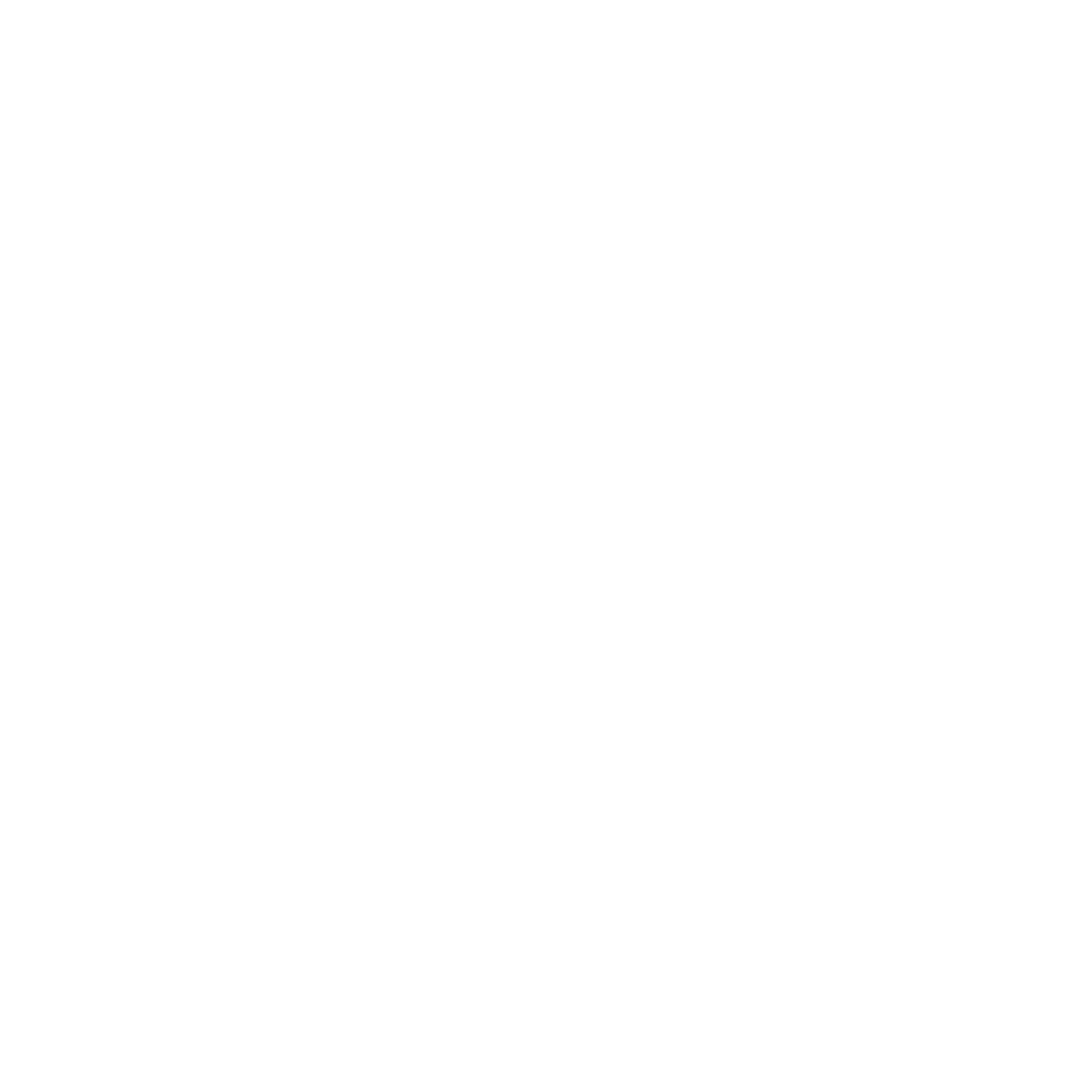 Siivoovan logo valkoinen